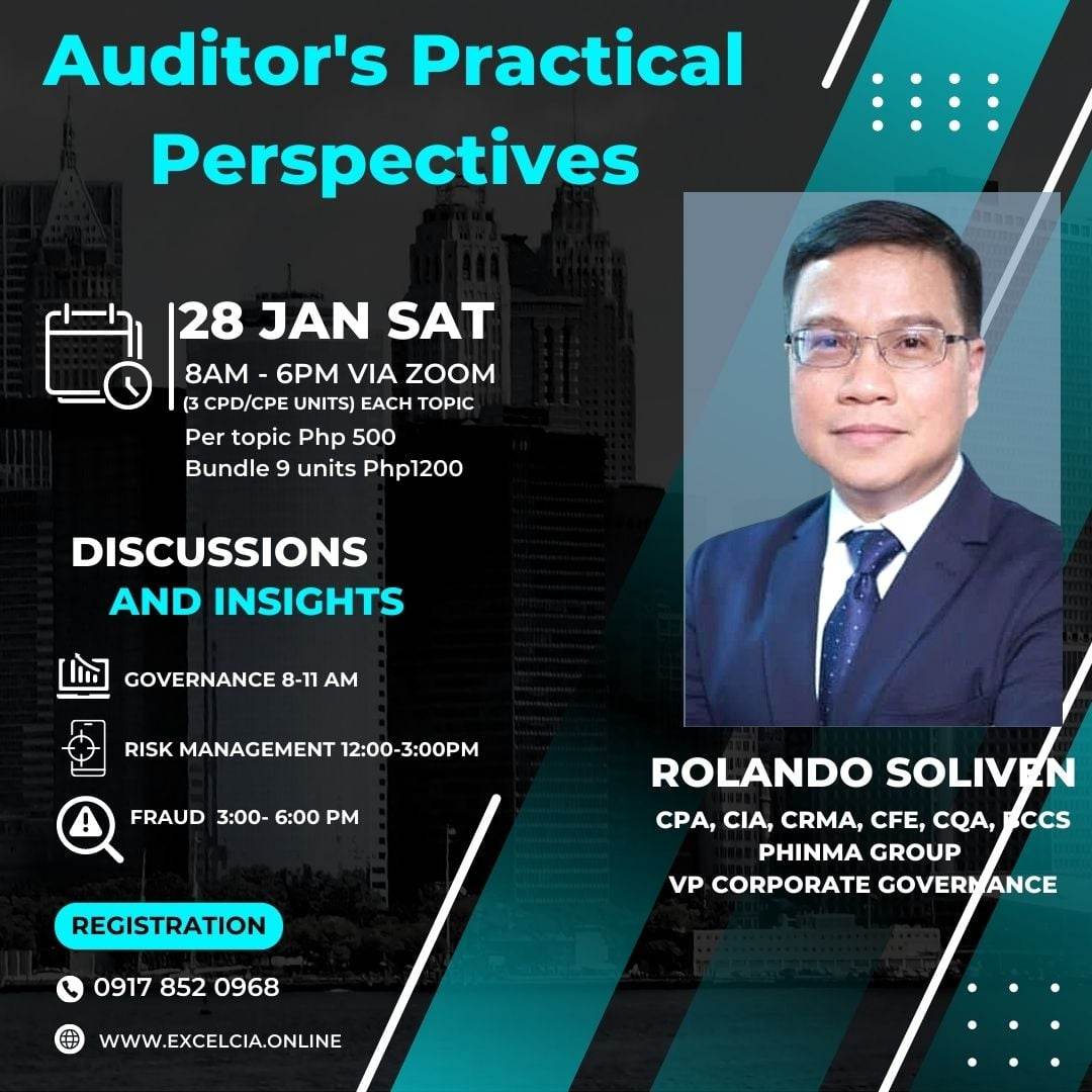 Auditors_Practical_Prespectives.jpg